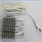 Custom White LED Modules